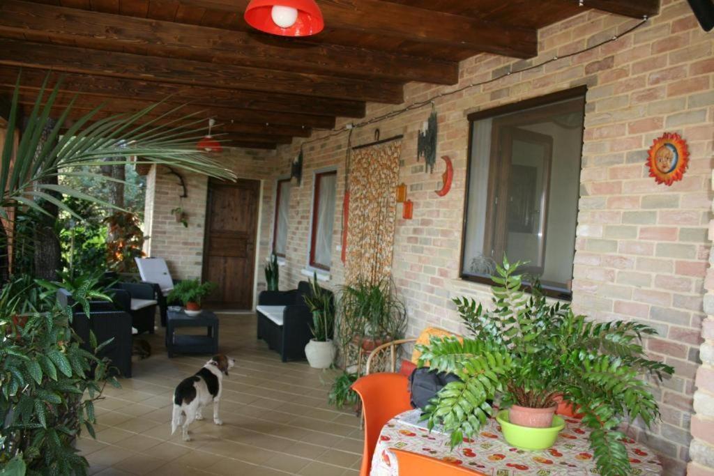 Casa Campagna Hotel Castiadas Exterior photo